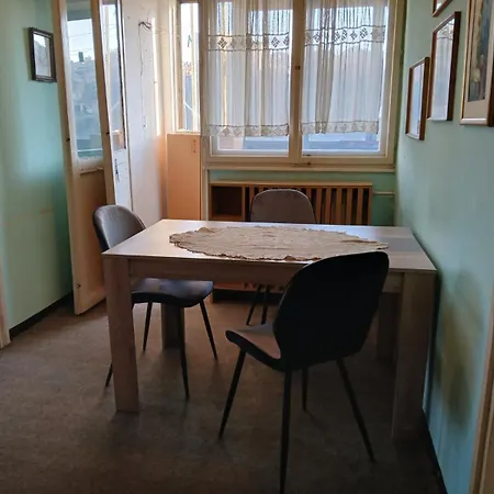 Mocartov Kutak - Sarmantan Dvosoban Stan U Sirem Centru Nisa *